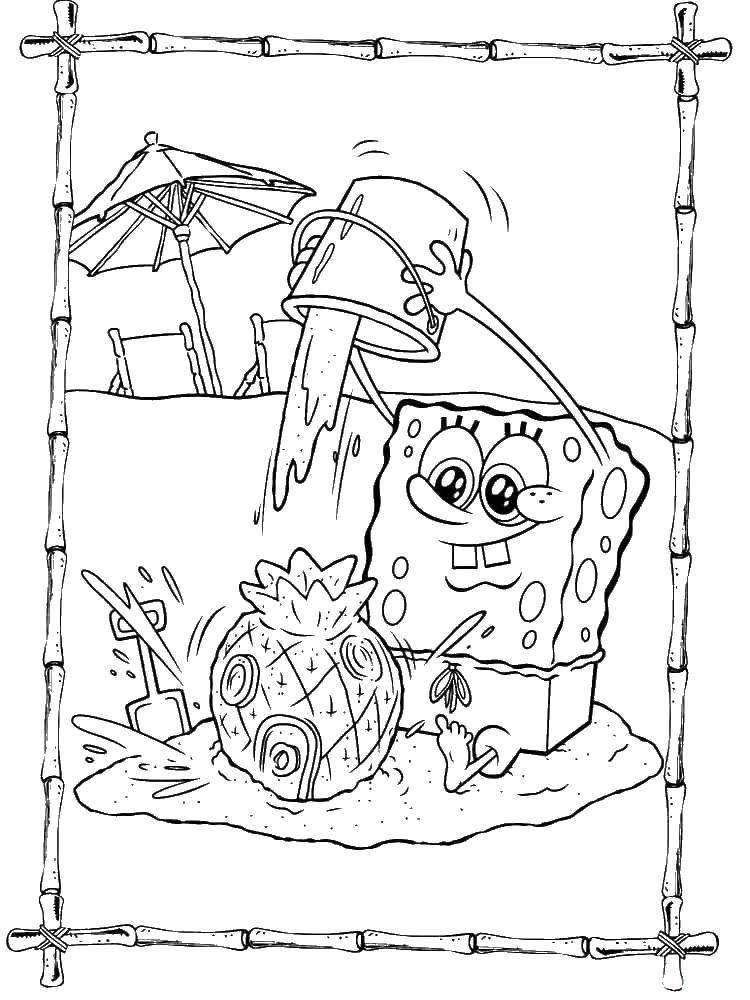 Раскраски Спанч Боб для малышей  Спанч боб в песочнице