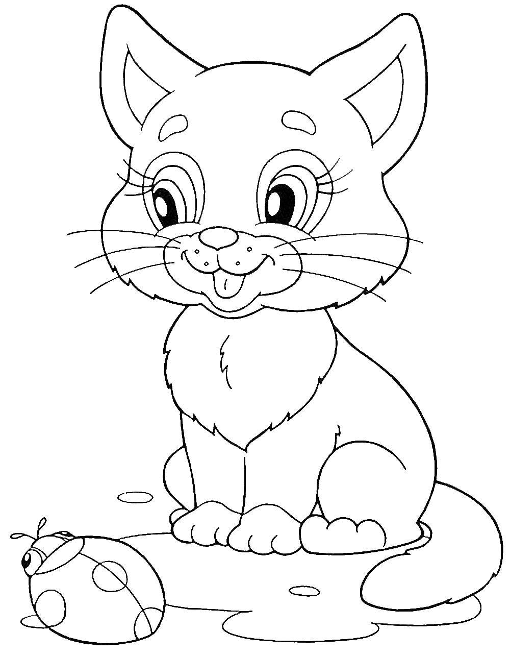 Раскраски кот кошки котята коты  Котенок играет с божьей коровкой