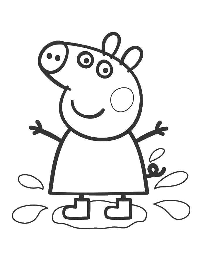 Познавательные и забавные раскраски для детей про свинку Пеппу  Свинка пеппа