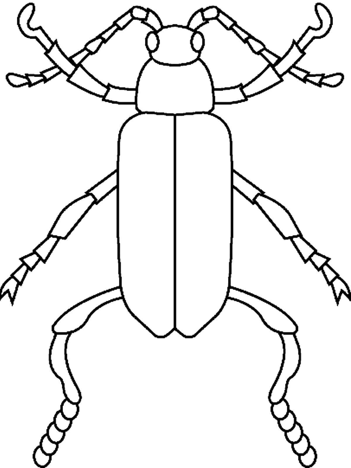 Картинки раскраски жучки для детей