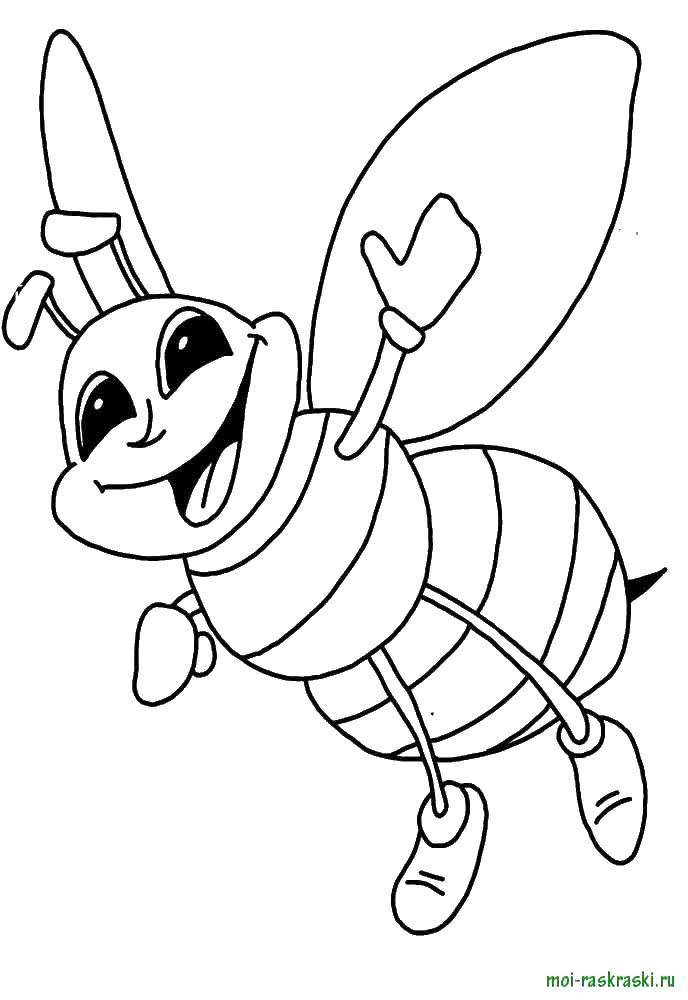 Раскраски пчела пчелы  Пчела