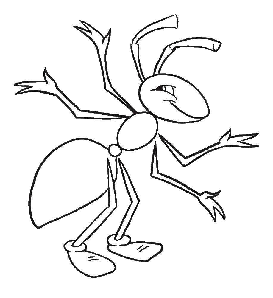 Раскраски муравей муравьи   Веселый муравей
