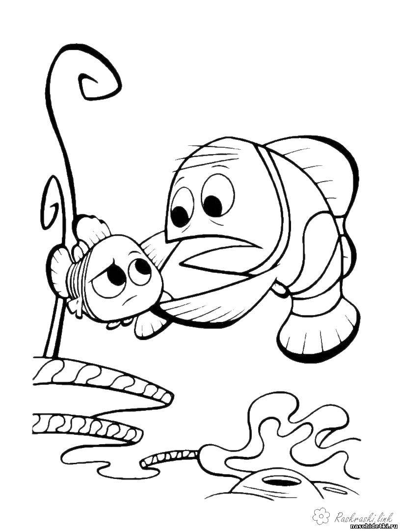 Раскраски про приключения рыбки Дори и его друзей.  Рыба с рыбкой
