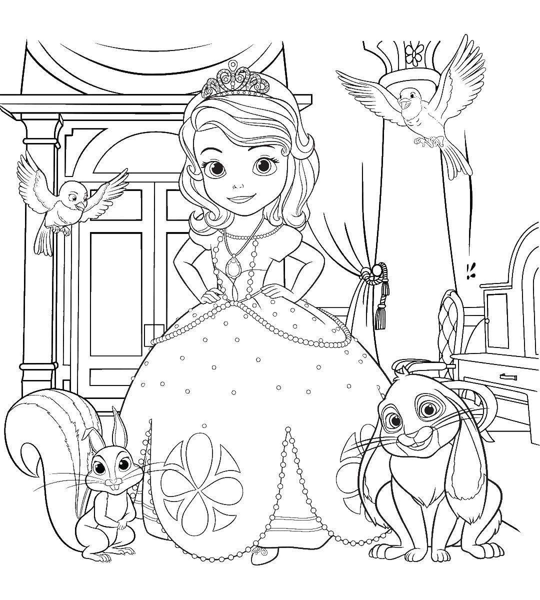 Раскраски с принцессой Софией для девочек. Раскраски из мультфильмов про принцесс  Принцесса софия и друзья