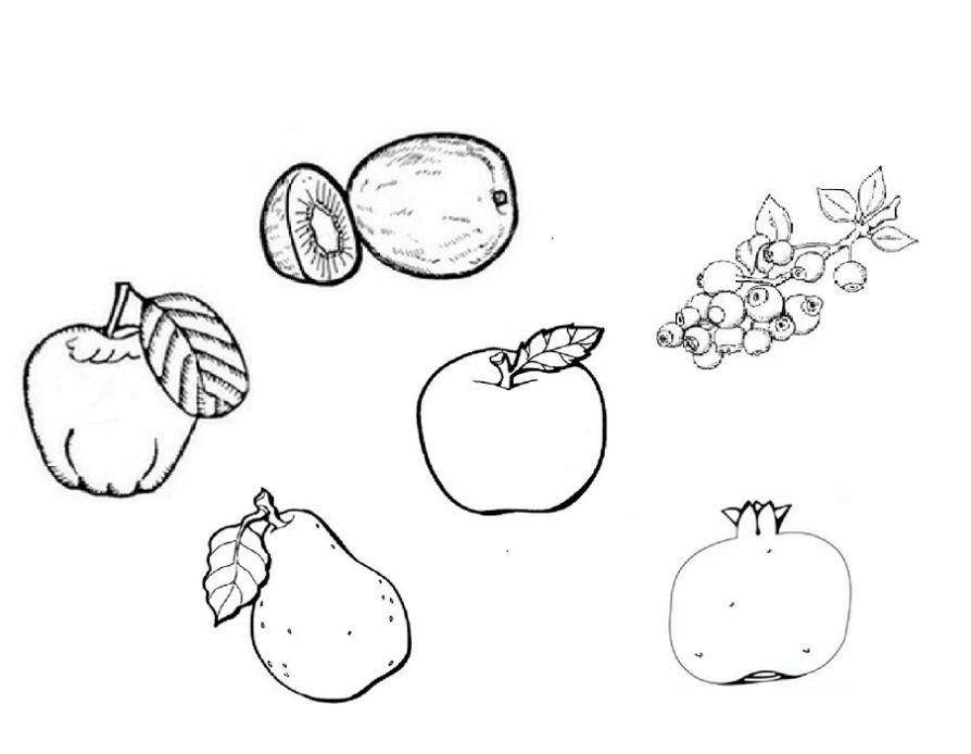 Раскраски ягоды малина вишня арбуз вишня крыжовник  Фрукты и ягоды