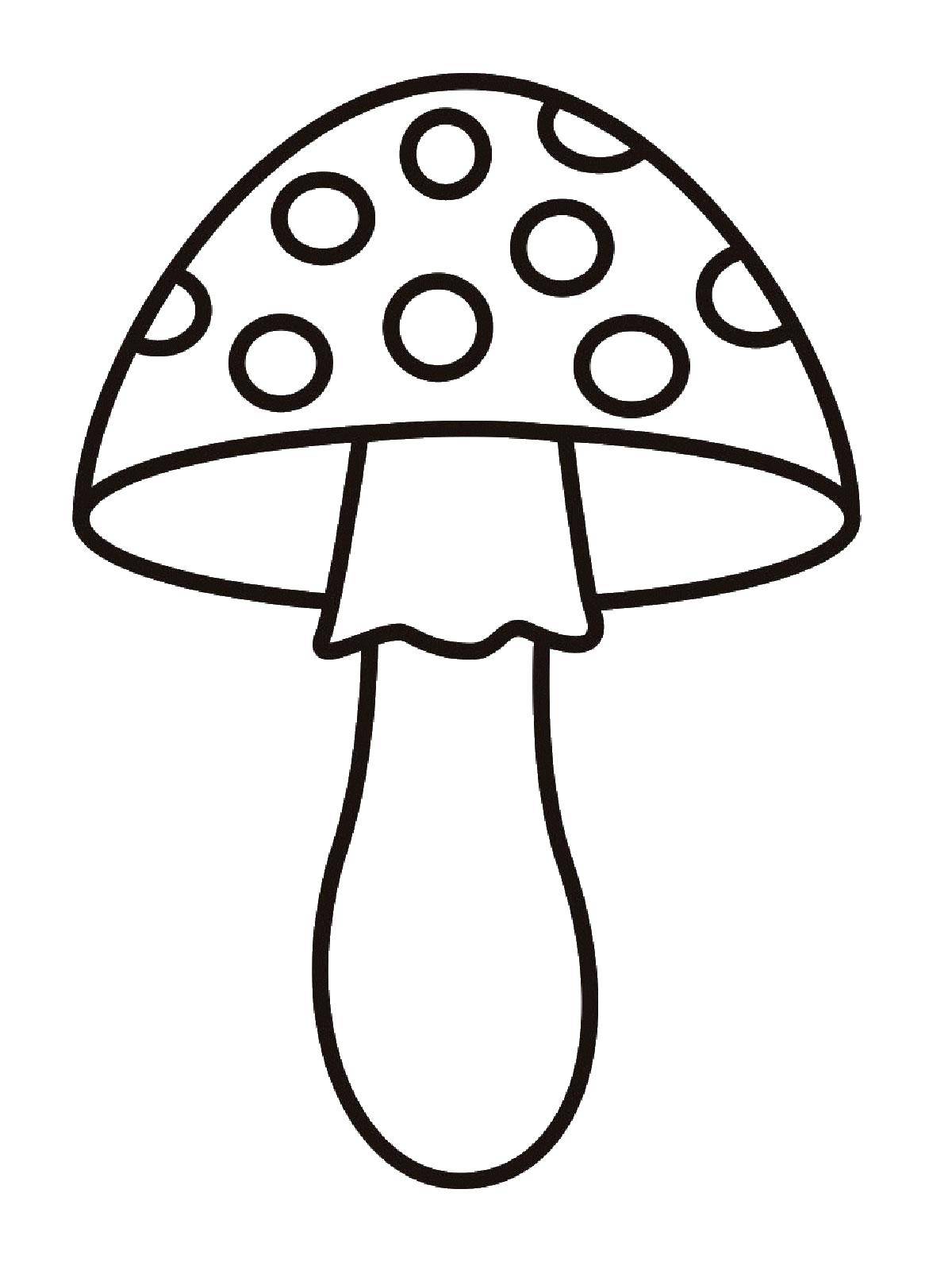 Раскраски с грибами контуры грибов для школьников  Гриб
