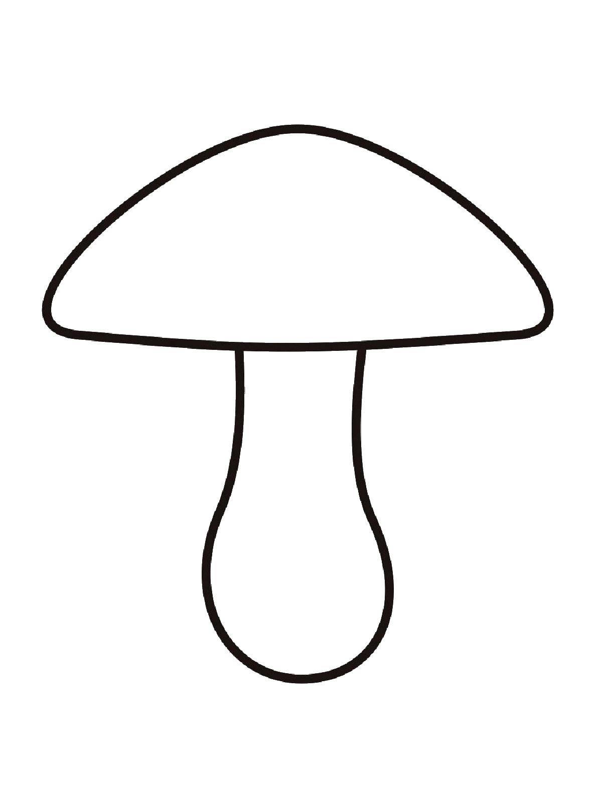 Раскраски с грибами контуры грибов для школьников  Гриб