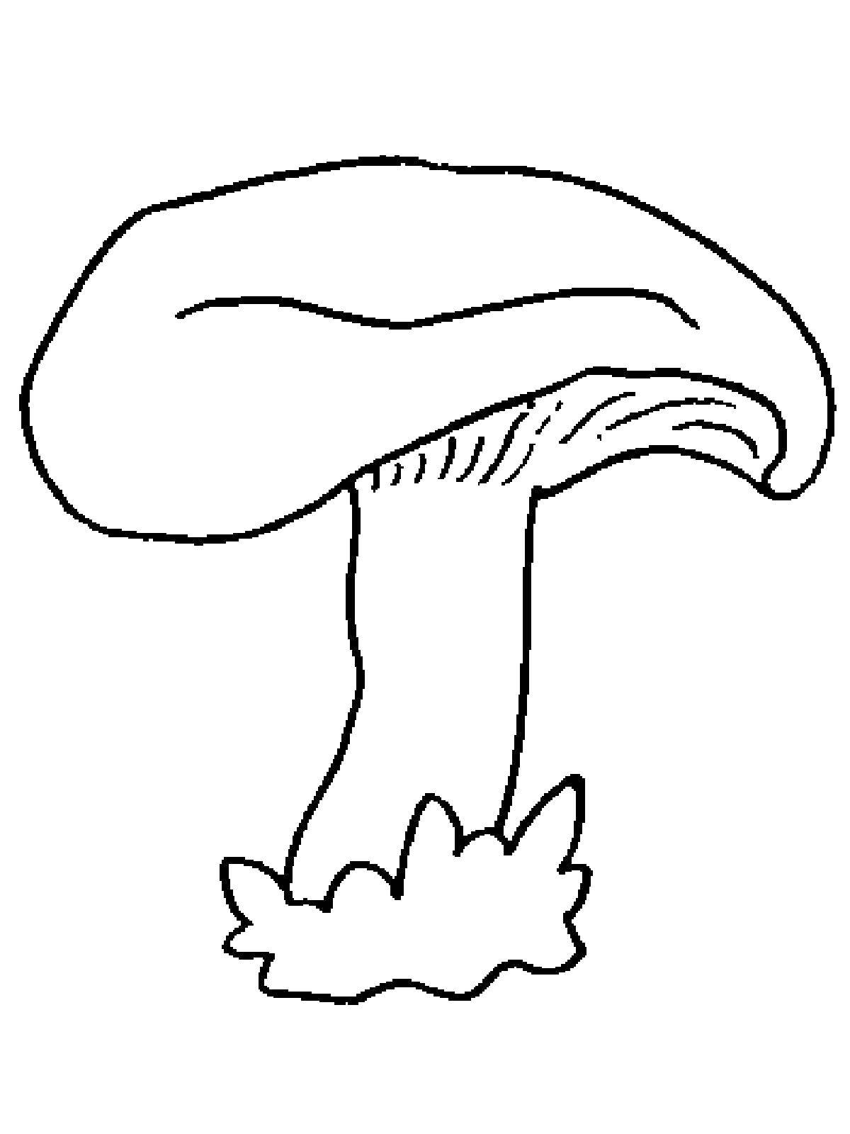 Раскраски грибы грибочки  Гриб