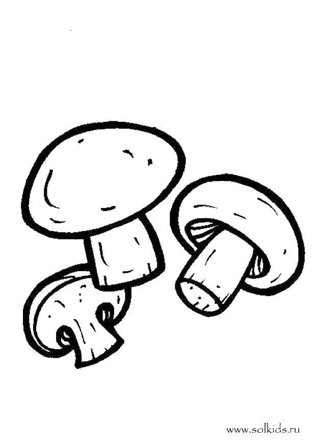 Раскраски грибы грибочки  Грибы