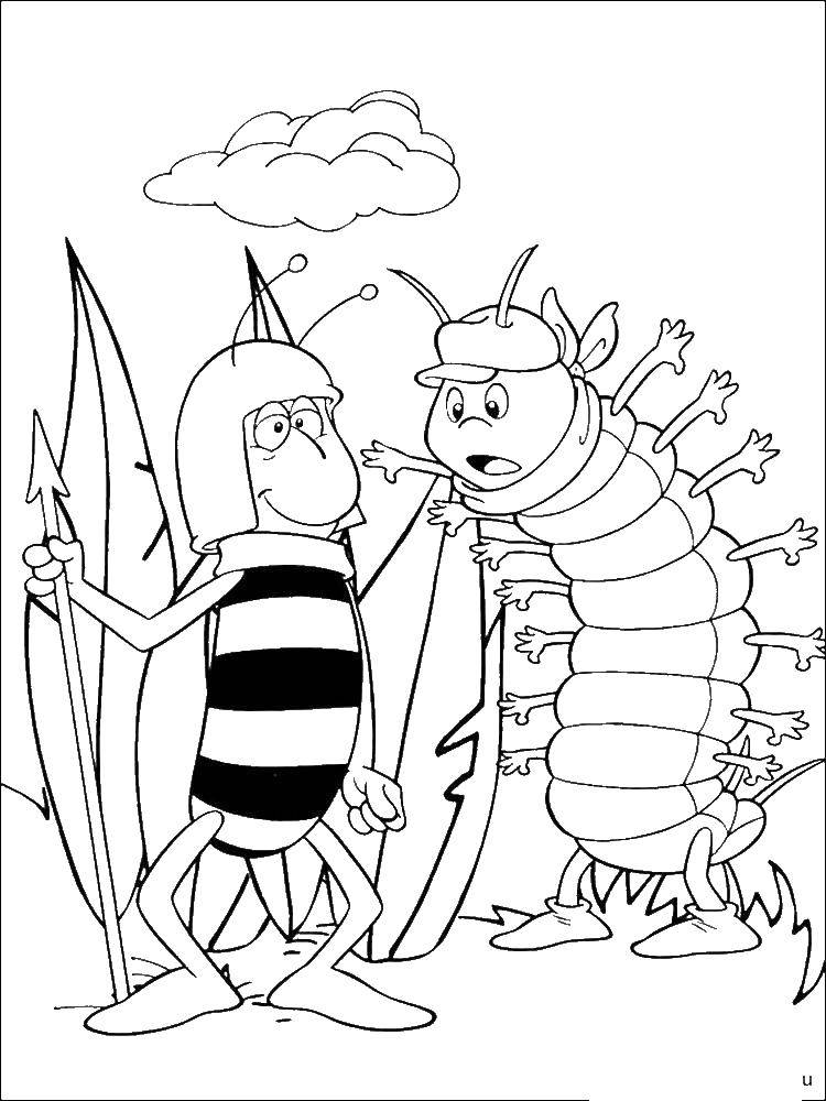 Раскраски по мультфильму пчелка Майя  Друзья пчелки маи
