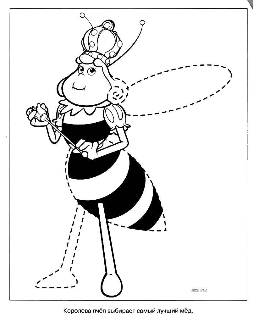 Раскраски по мультфильму пчелка Майя  Королева пчел