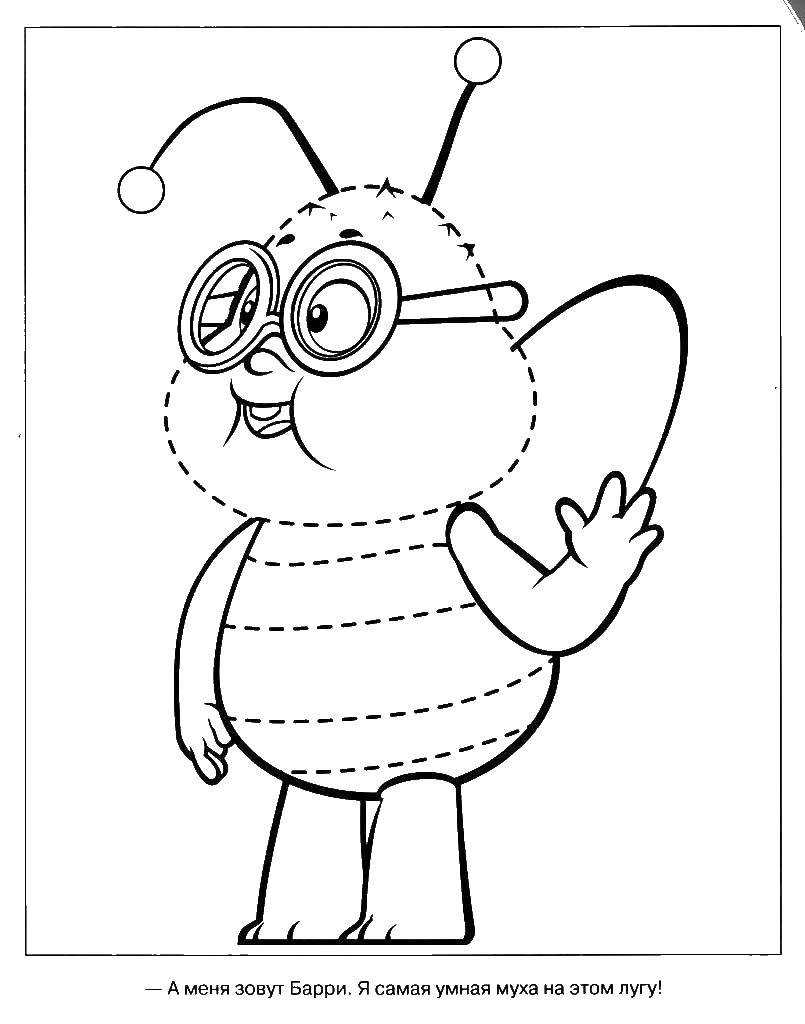 Раскраски по мультфильму пчелка Майя  Муха барри