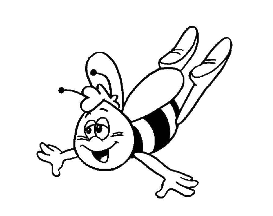 Раскраски по мультфильму пчелка Майя  Пчела вилли