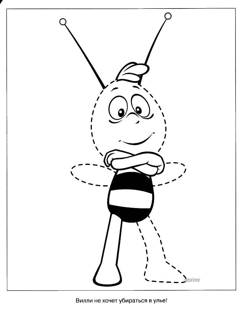 Раскраски по мультфильму пчелка Майя  Пчела вилли
