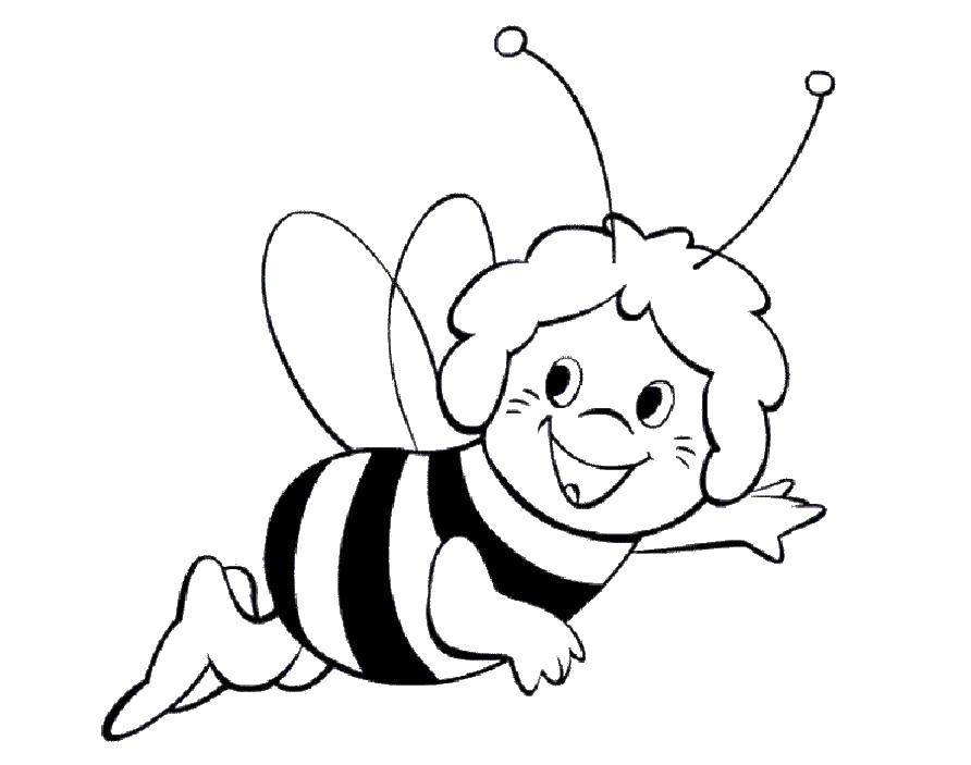 Раскраски по мультфильму пчелка Майя  Пчелка мая