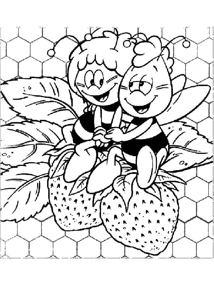 Раскраски с пчелкой Майя для малышей  Пчелка майя