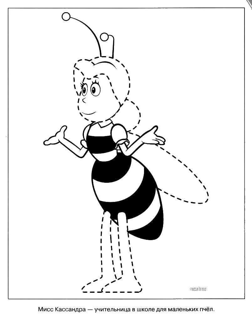 Раскраски по мультфильму пчелка Майя  Учительница пчела мисс кассандра
