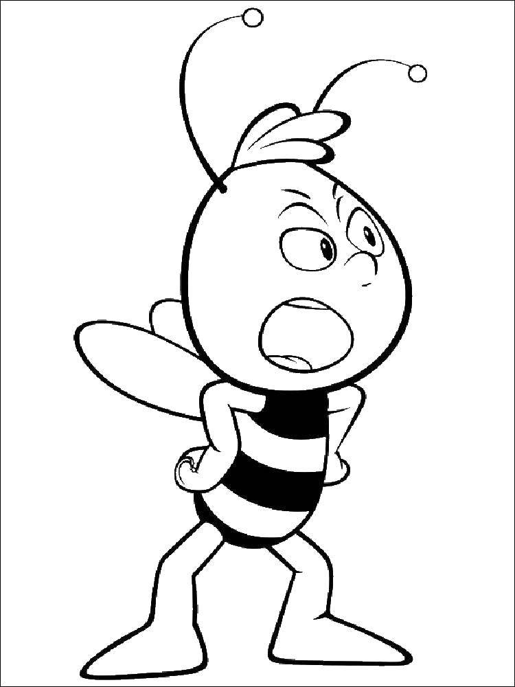 Раскраски по мультфильму пчелка Майя  Мультфильм пчёлка майя 
