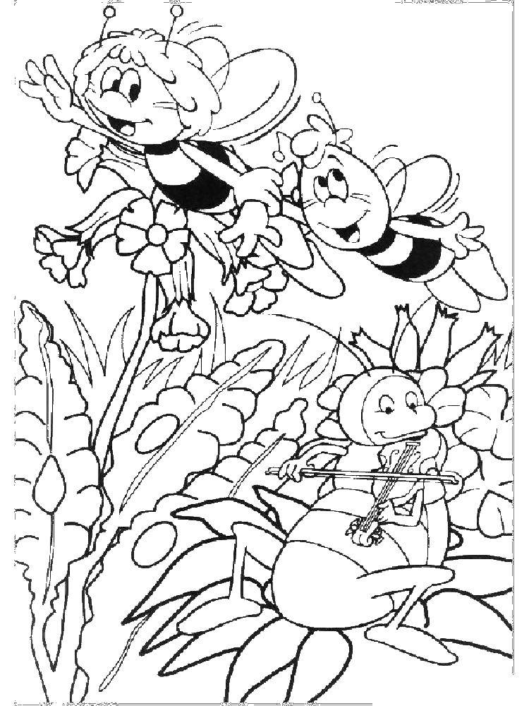 Раскраски по мультфильму пчелка Майя  Пчелка мая и вилли летают в лугу