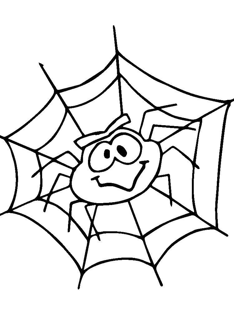 Раскраски пауки паук паучки  Паучок на паутине