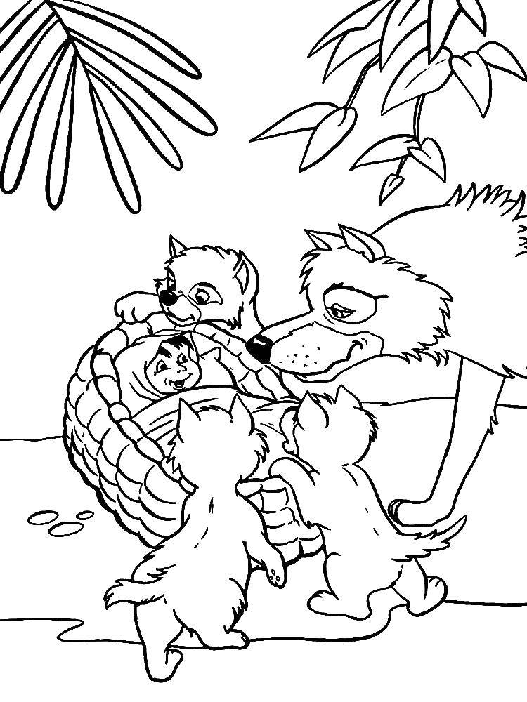 Раскраски с Маугли  для детей  Волчья стая заботится о маугли