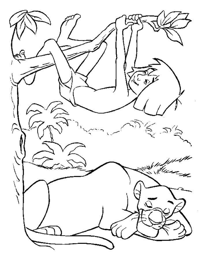Раскраски с Маугли  для детей  Багира и маугли