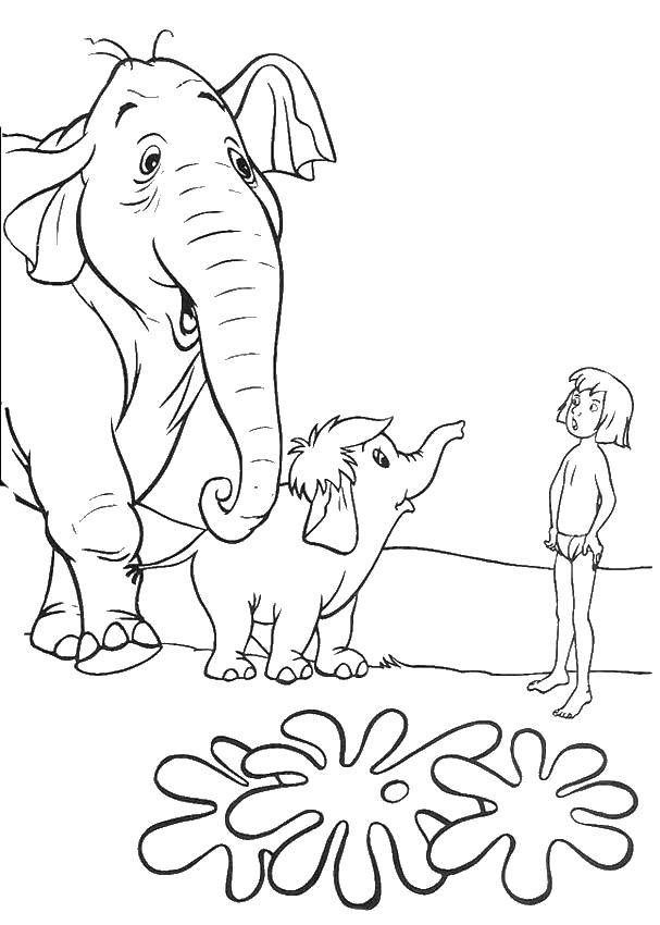 Раскраски с Маугли  для детей  Маугли и слоники