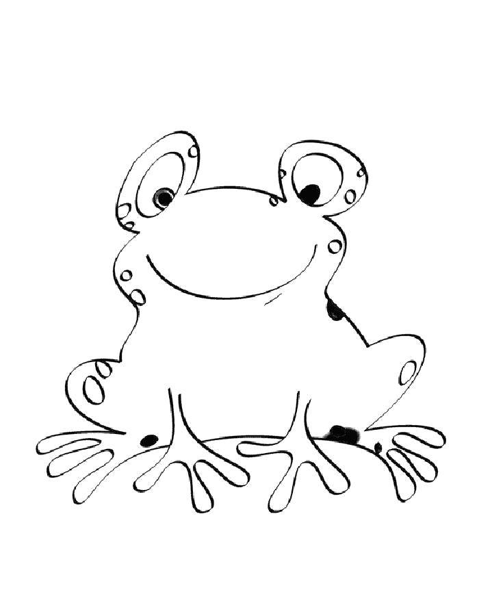 Раскраски лягушка лягушки  Милый лягушонок