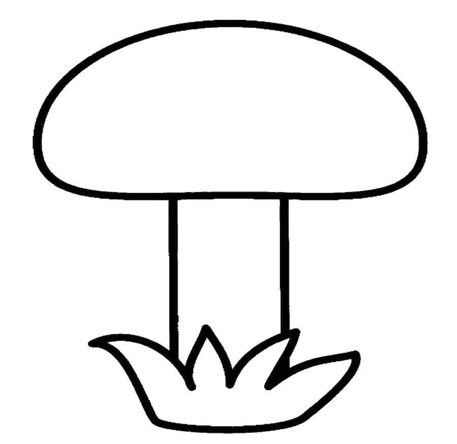 Раскраски с грибами контуры грибов для школьников  Грибы