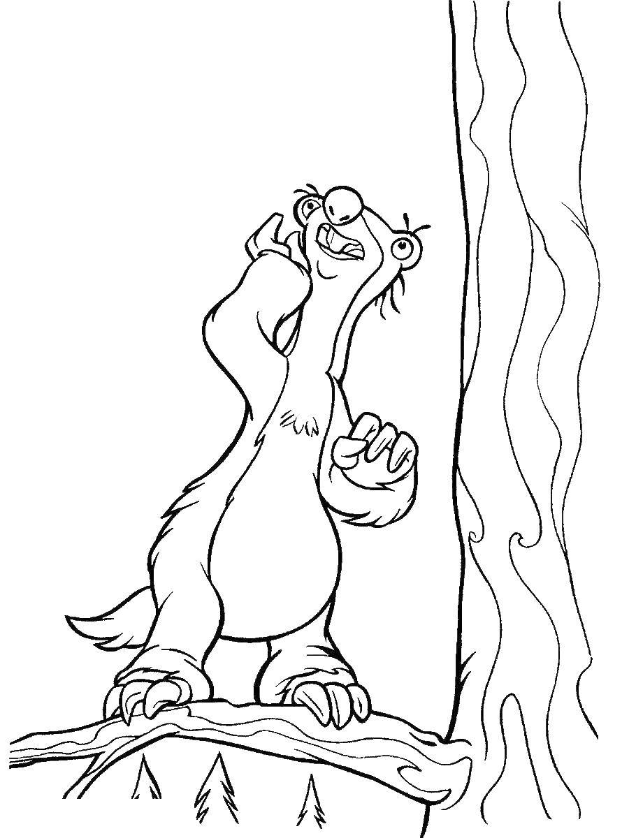 Красивые и веселые раскраски по мультфильму Ледниковый период  Ленивец сидни