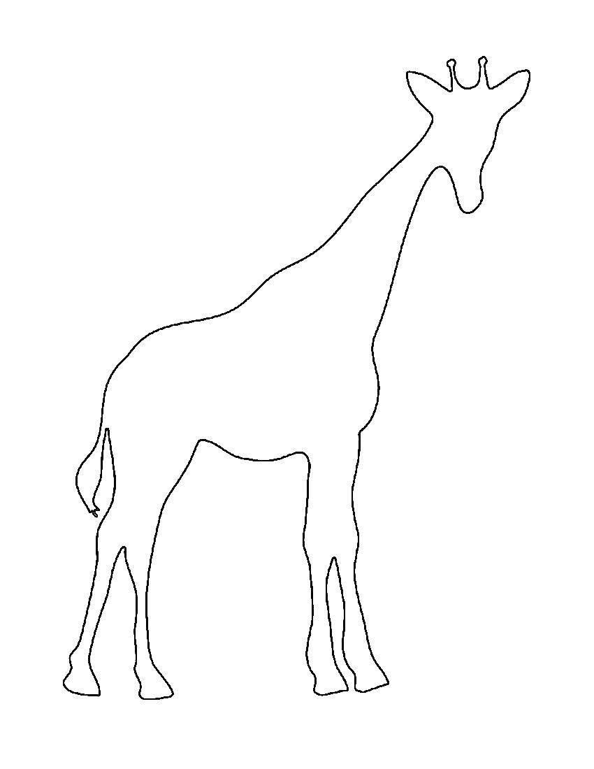  Жирафик Раскраска контур - жираф.