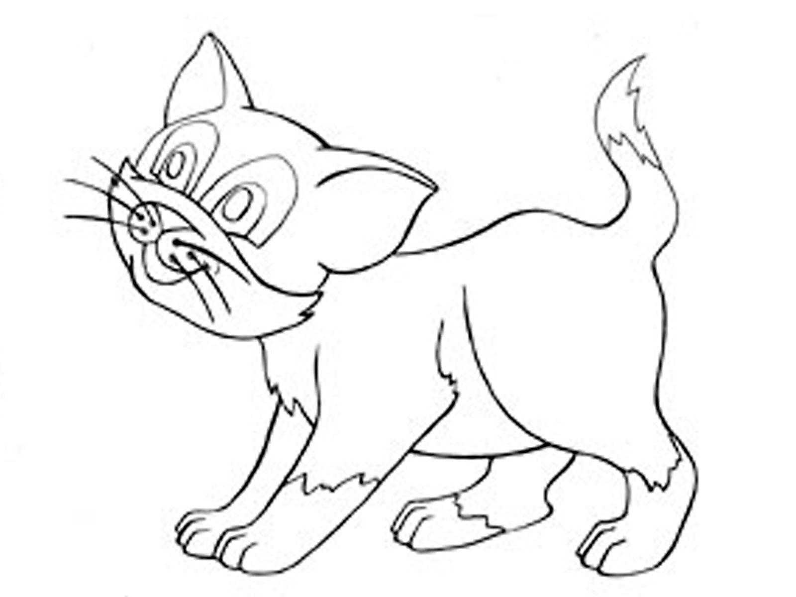 раскраски кошка