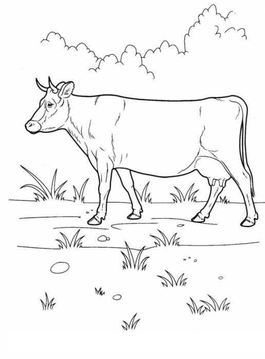 Корова на полянке Качественная раскраска - корова.