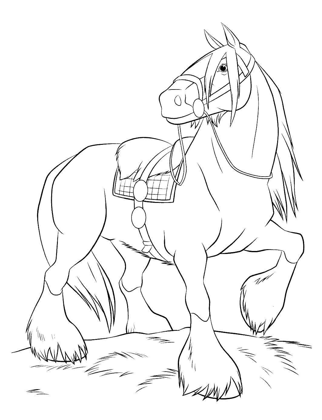 Раскраски Храбрая сердцем для детей, раскраски по интересным мультфильмам  Красивый конь