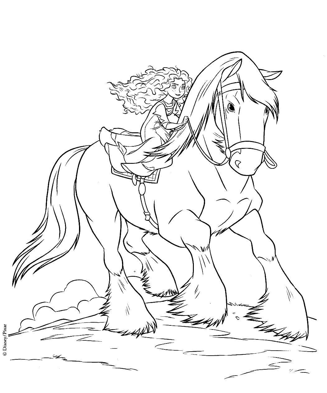  Мерида на коне ангус