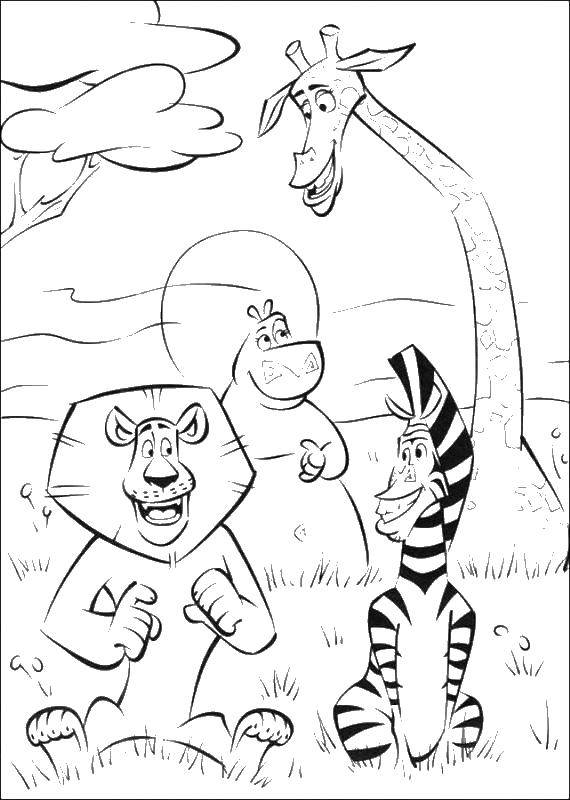 Раскраски Мадагаскар, смешные и весёлые раскраски про животных для детей.  Животные мадагаскара