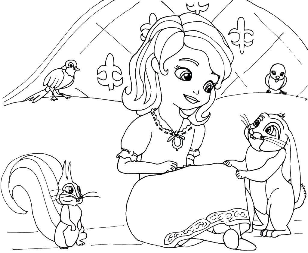 Раскраски с принцессой Софией для девочек. Раскраски из мультфильмов про принцесс  Принцесса софия