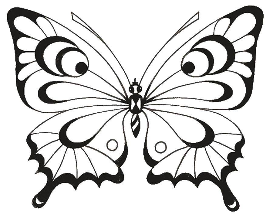 Красивая бабочка - Насекомые - Раскраски антистресс