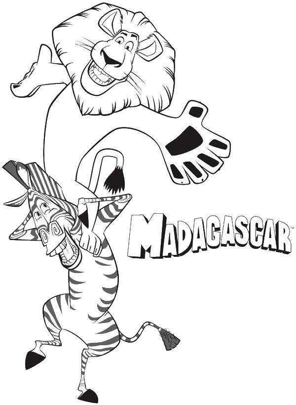 Раскраски Мадагаскар, смешные и весёлые раскраски про животных для детей.  Мадагаскар