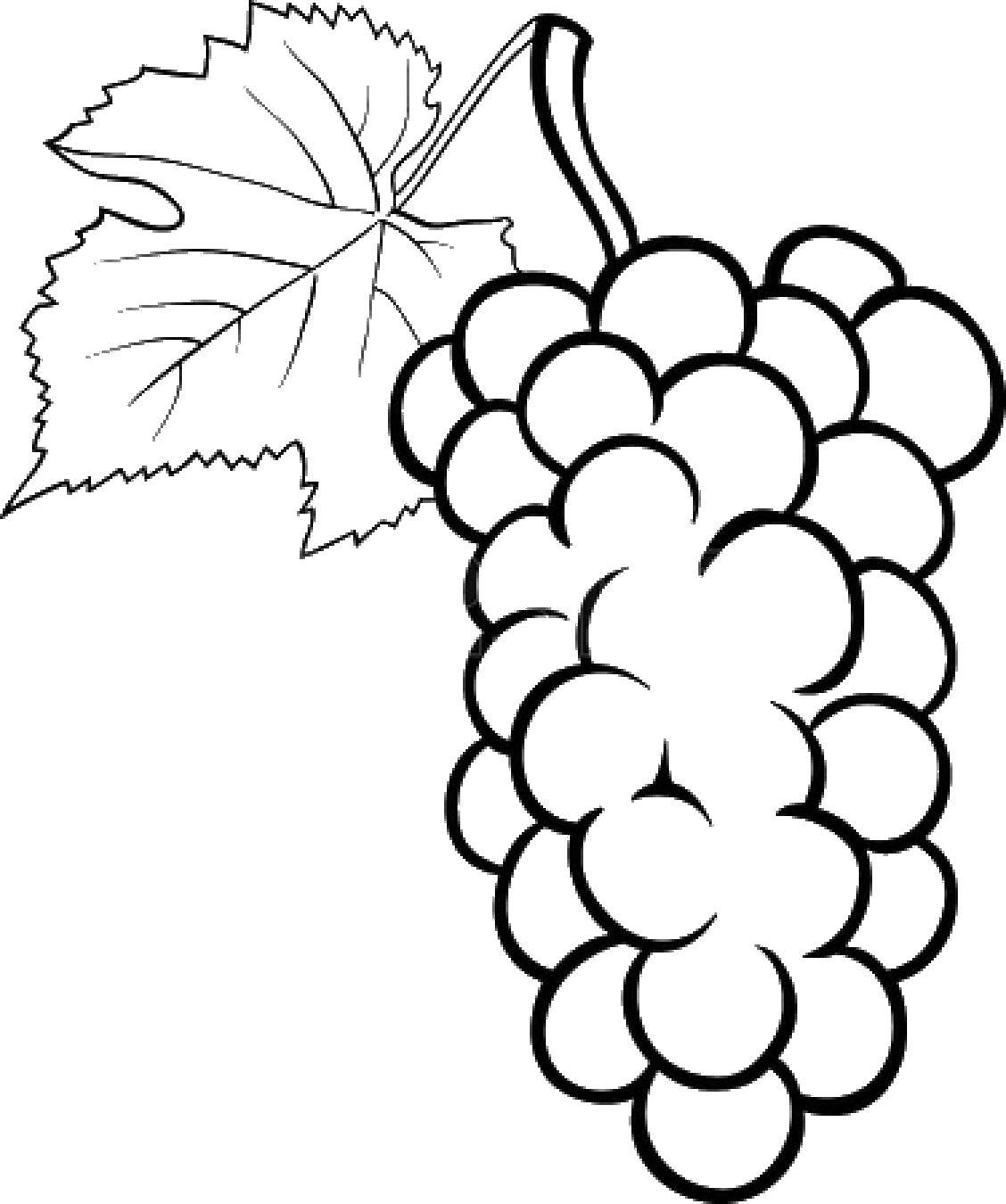  Виноград