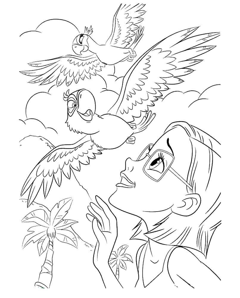 Раскраски по Рио мультфильм про попугаев  Линда радуется голубчику и жемчужинке