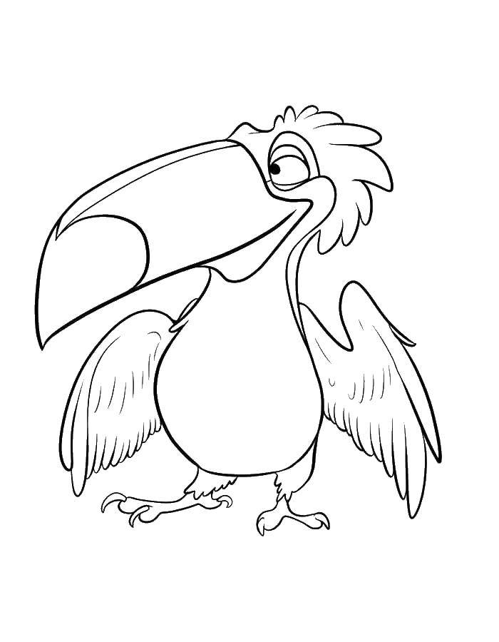 Раскраски по Рио мультфильм про попугаев  Тукан