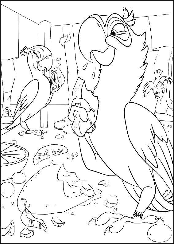 Раскраски по Рио мультфильм про попугаев  Голубчик и жемчужинка кушают