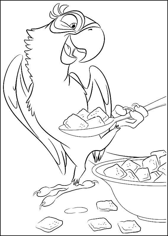 Раскраски по Рио мультфильм про попугаев  Голубчик кушает ложкой