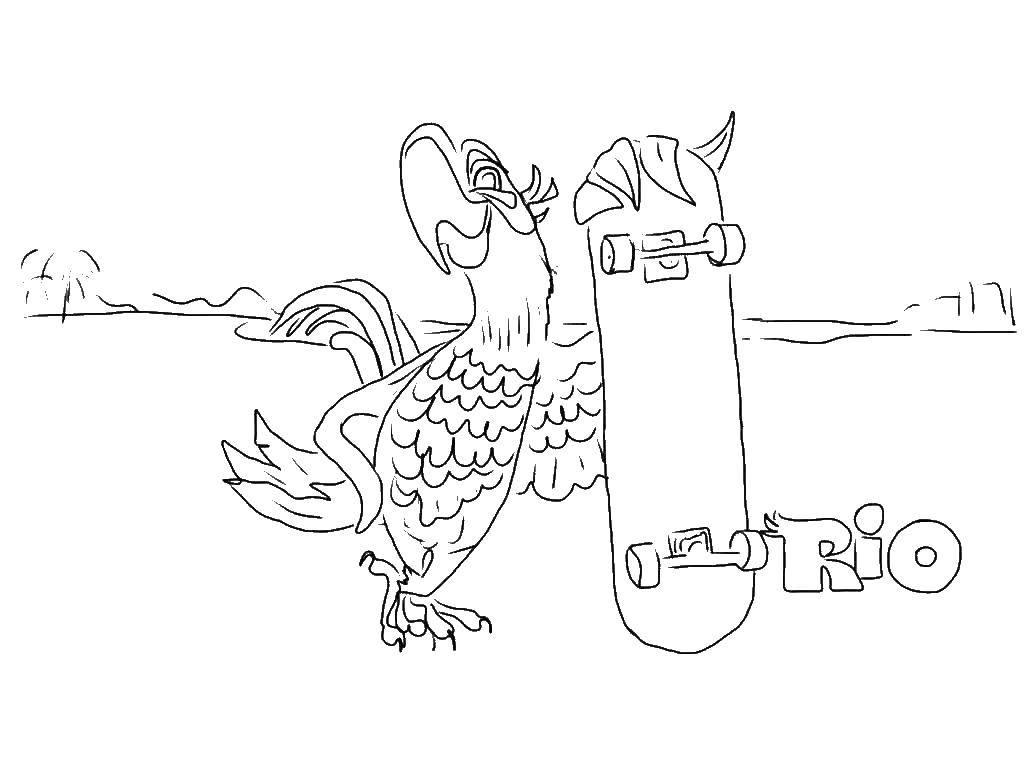 Раскраски по Рио мультфильм про попугаев  Голубчик с скейтбордом