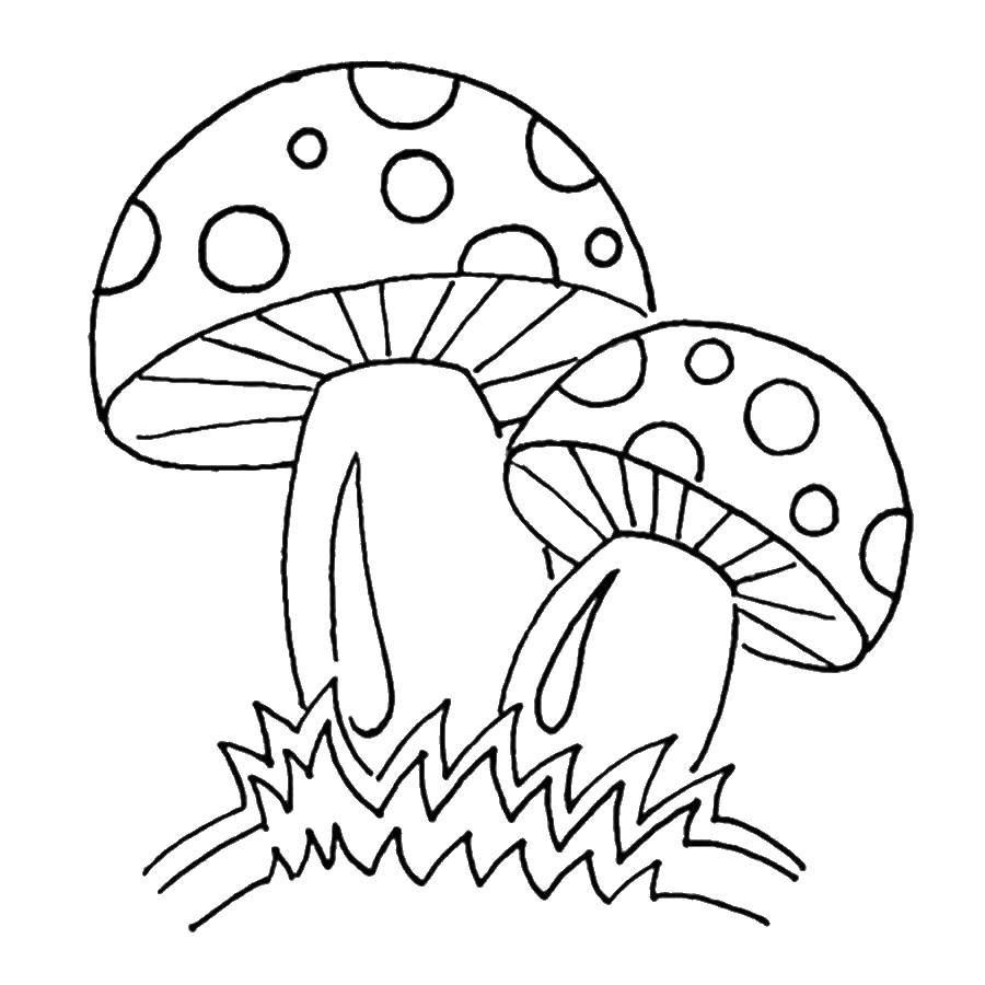 Раскраски грибы грибочки  Опасные грибы