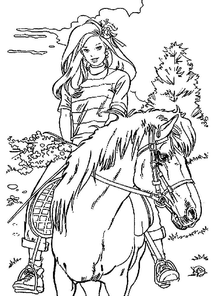 Раскраски с барби по серии мультфильмов  для девочек  Барби и лошадь