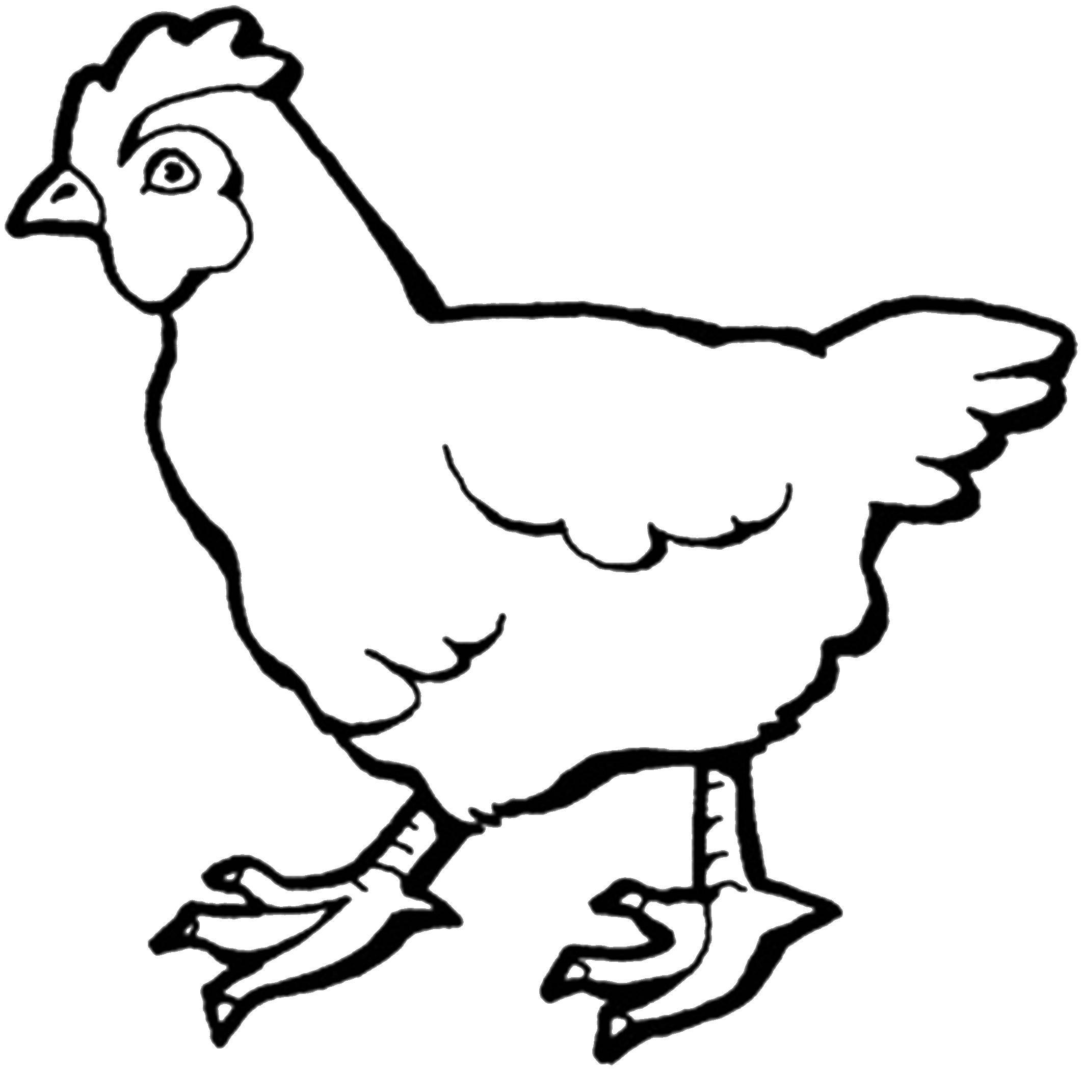 Раскраски птиц курица  петух яйцо цыпленок  Курица ряба