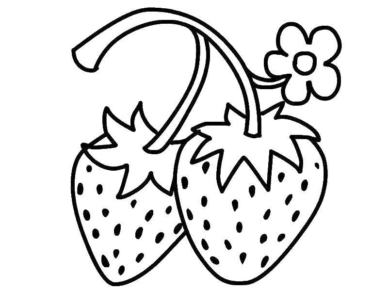 Раскраски ягоды малина вишня арбуз вишня крыжовник  Две клубнички
