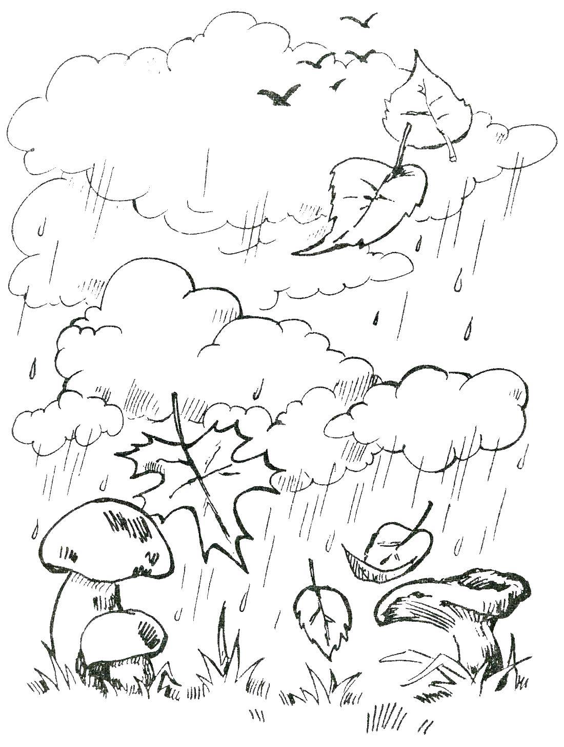 Раскраски природные явления дождь, раскраски дождик для школьников и подростков  Дождь
